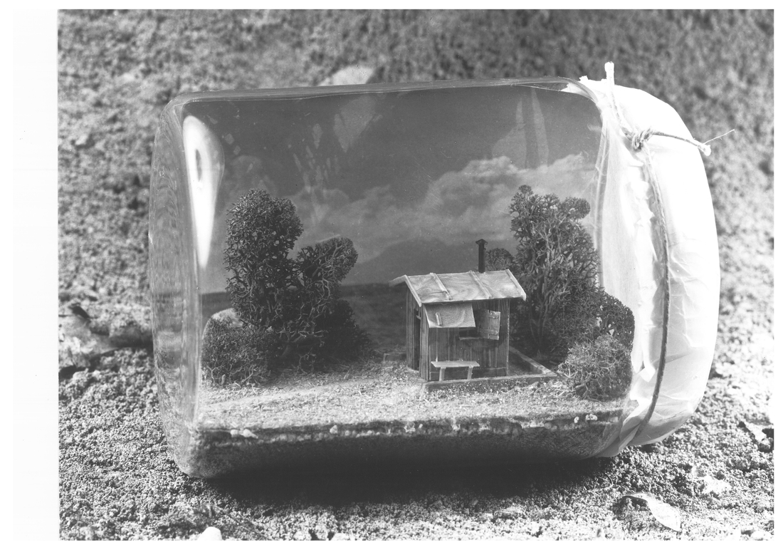 Stueck_Natur_Haus-Rucker-Co.jpg